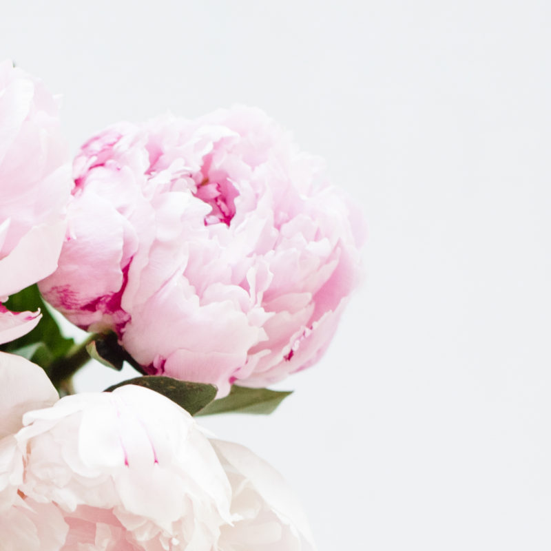 Trending Now: Kimonos